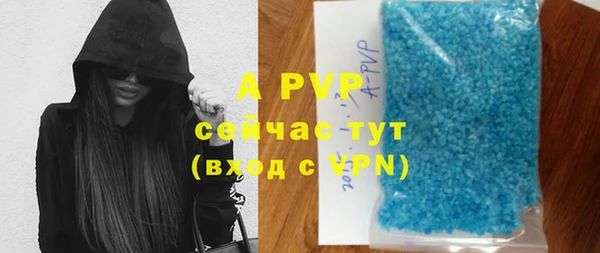 ГАЛЛЮЦИНОГЕННЫЕ ГРИБЫ Карталы