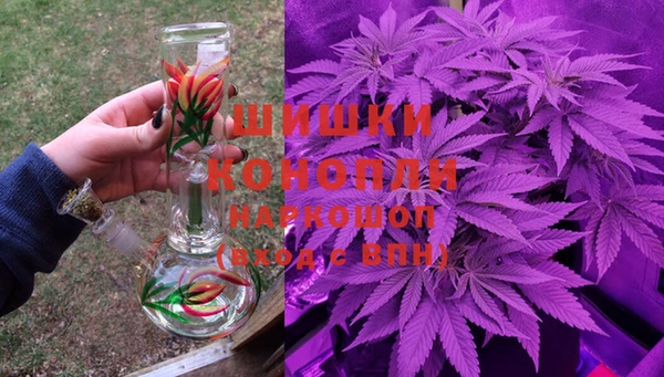 ГАЛЛЮЦИНОГЕННЫЕ ГРИБЫ Карталы