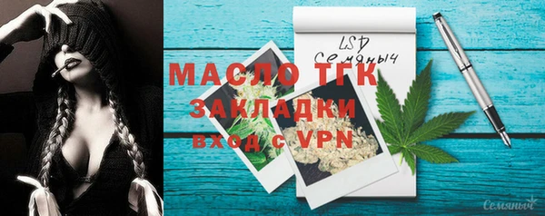 тгк Касимов