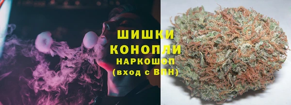 ГАЛЛЮЦИНОГЕННЫЕ ГРИБЫ Карталы