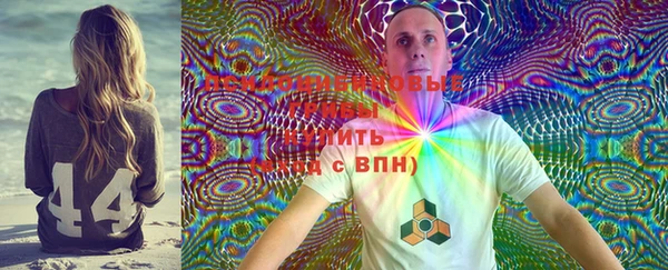 первитин Карпинск